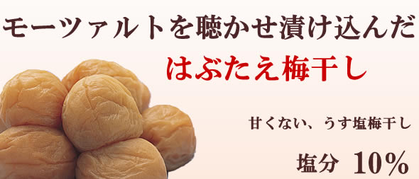 紀州南部　南高梅干しの深見梅店　はぶたえ梅干し